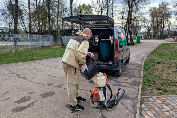 В Иванове очистили от клещей все городские парки 